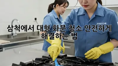 삼척에서 대형 화분 청소, 안전하게 해결하는 법 🌿💪
