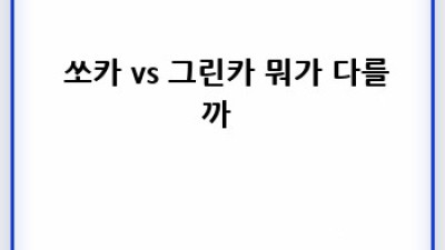 정릉동 렌트카 완전정복! 꿀팁 대방출 🚗💨
